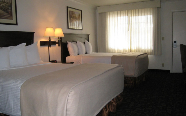 Discovery Inn