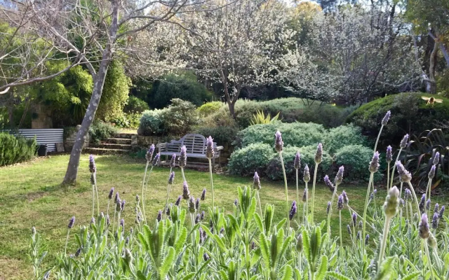 Naturescape