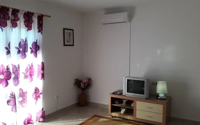 Apartment Branka