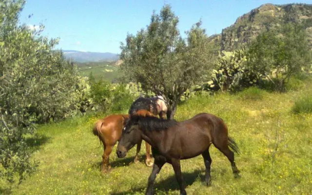 Agriturismo Armiro