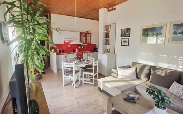 Charming Apartment Center Split Terrace & Parking