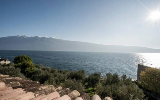 Uliveto - Apartment in olive grove directly on the lake