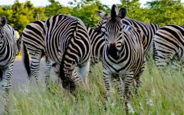 Inyanga Safari Lodge