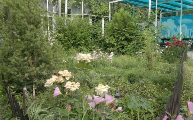 Гостевой Дом На Лиманной