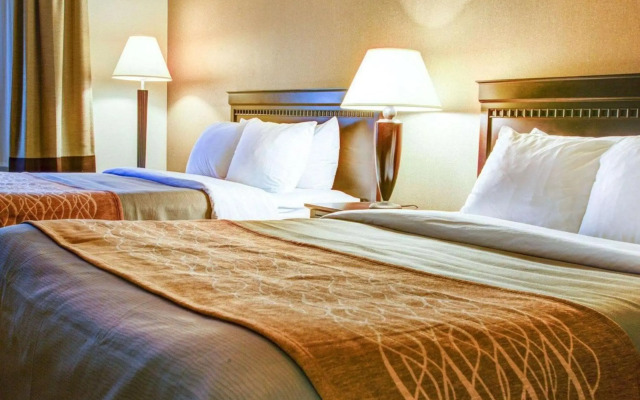 Quality Inn Florence