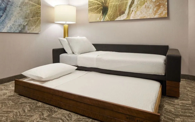 Springhill Suites By Marriott Frederica