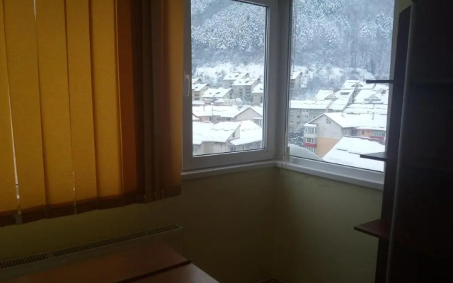 Apartament Viorea