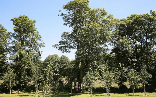 Annamult Country House Estate