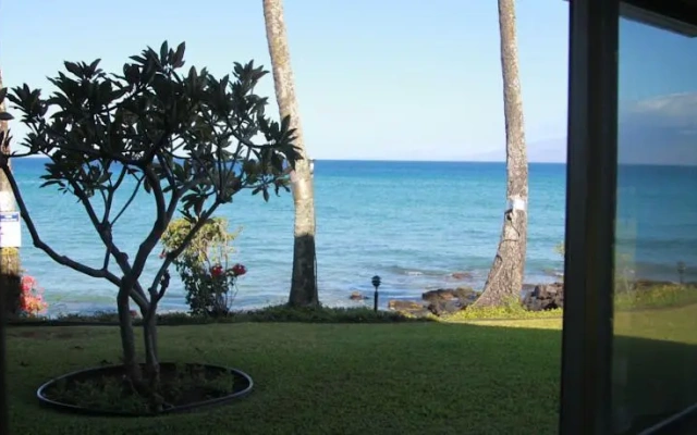 Polynesian Shores #126