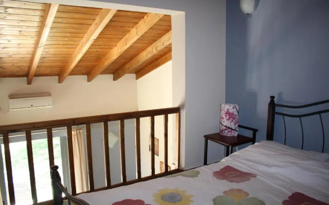 Vassia 3