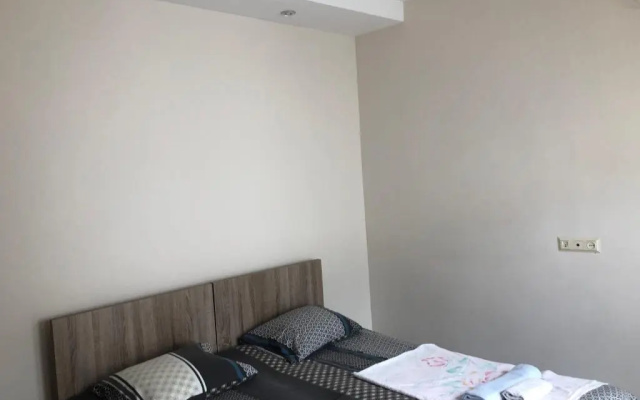 Guest house Romanadze