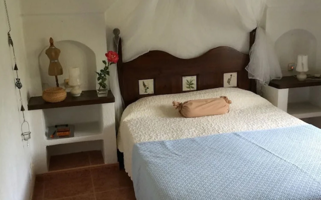 Casa del Pez Azul