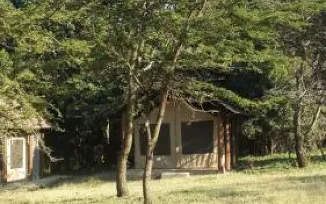Masaimara Springs Camp
