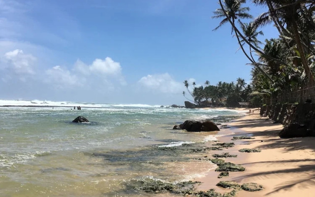 Coconut Treehouse
