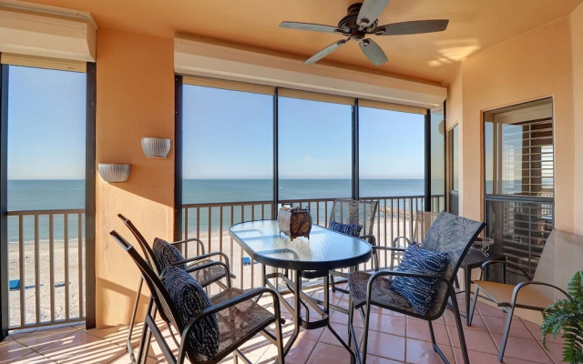 Beach Palms 504