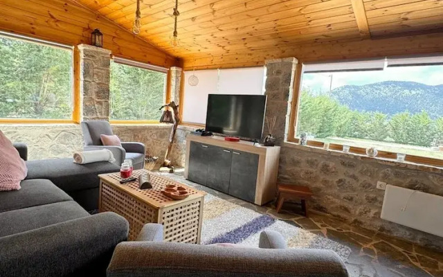 Crown Chalet Arachova