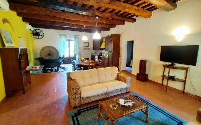 The olive house