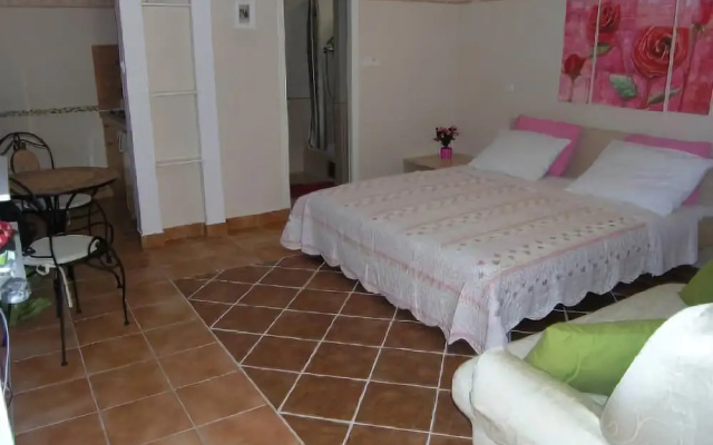 Apartments Damijan