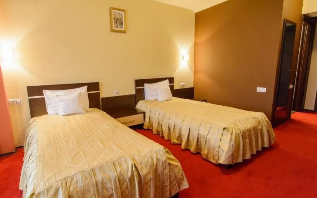 Q Art Severus Hotel