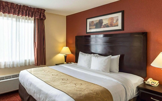 Comfort Suites Airport