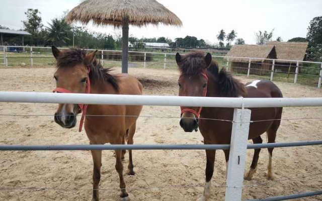 The Chiva Sanctuary Khao Yai