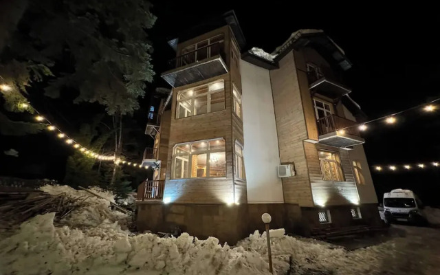 The Luxurious Forest Villa Borovets1