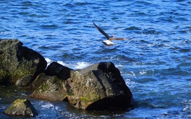 Baía da Barca