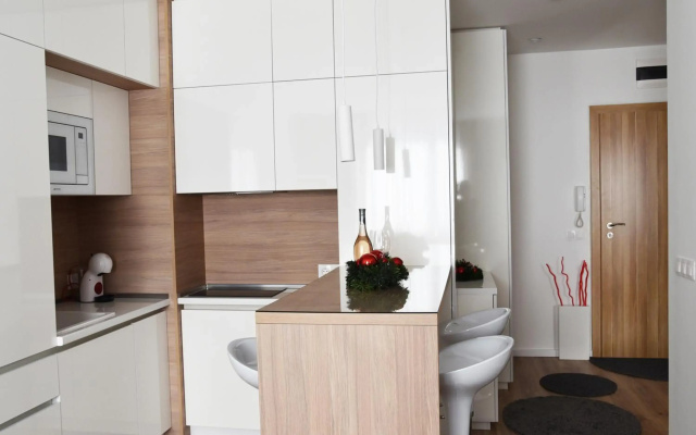 Borovets Gardens Luxury apartment E11