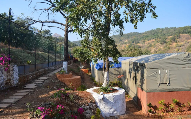 Orfa estate