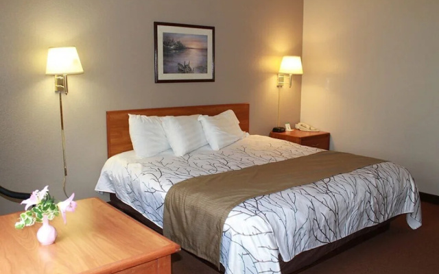 Edmore Inn