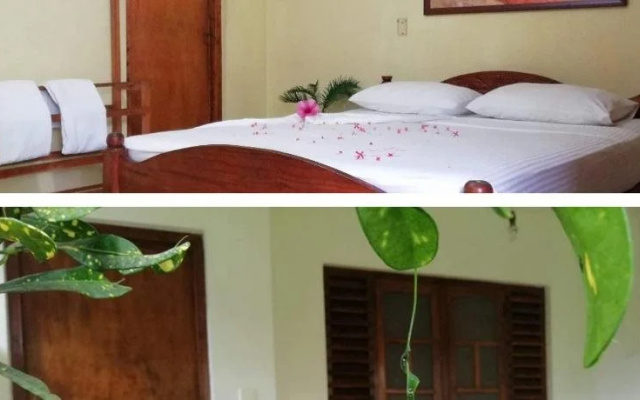 Palm Garden Tourist Guest House