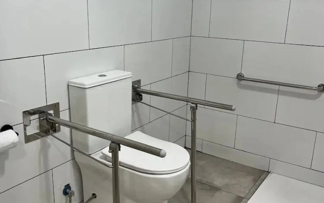 Golondrinas de Alicante.