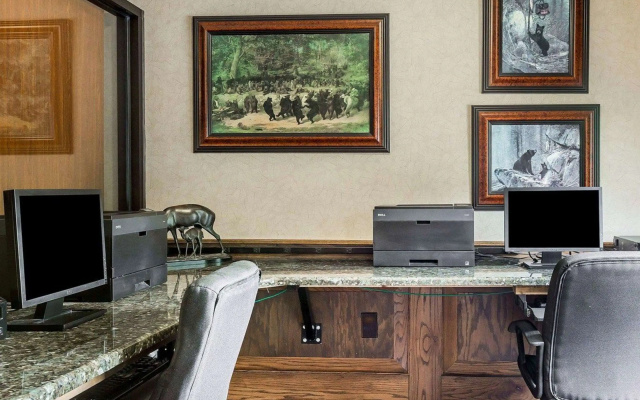 Comfort Suites Boone - University Area
