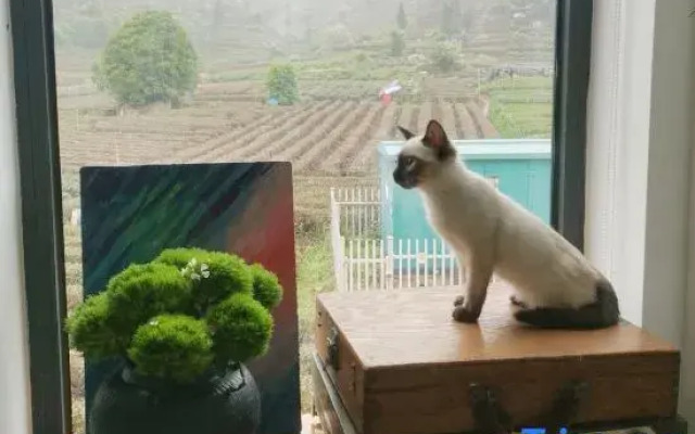 Ju Bai Homestay