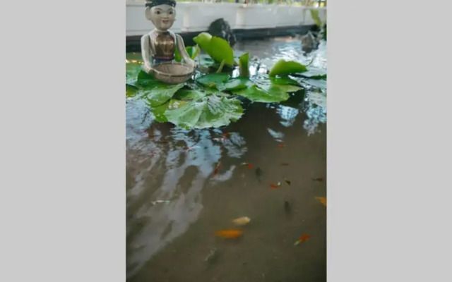 Homestay CHẤT - Pagoda View 1