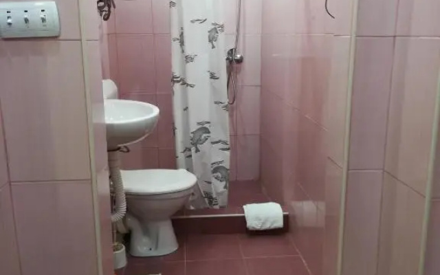Rooms and Apartments Milana