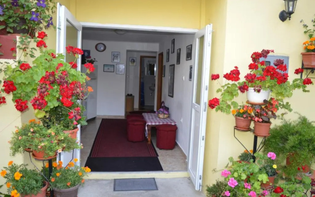 Hostel David