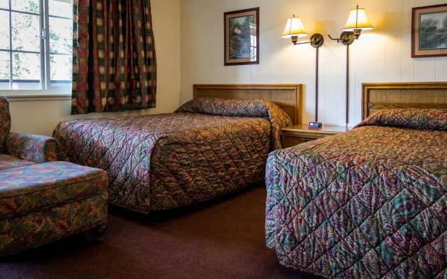 Charm Motel & Suites