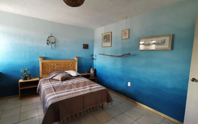 Casa del Árbol Hostel Xochimilco