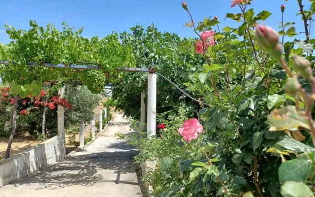 Skyros BnB Calliope in Molos