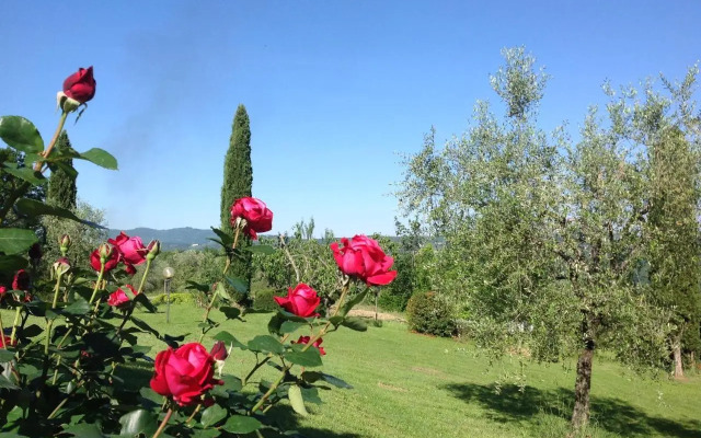 Terre Di San Gorgone