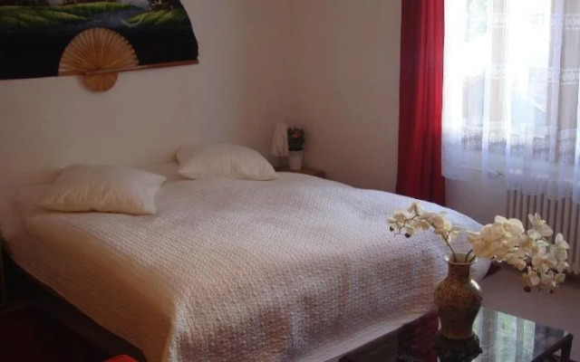 Hotel Hasli Lodge