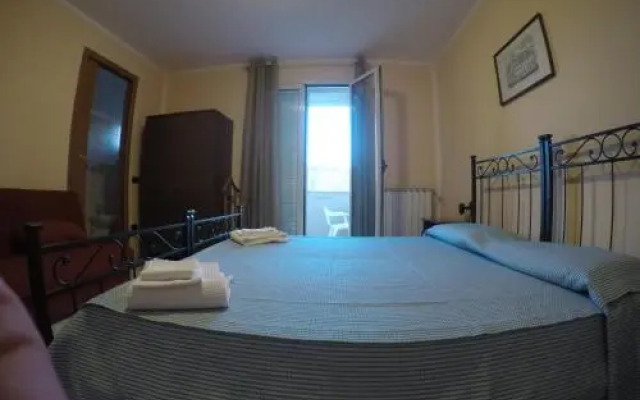 B&B Bassu