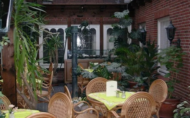 Vier Linden