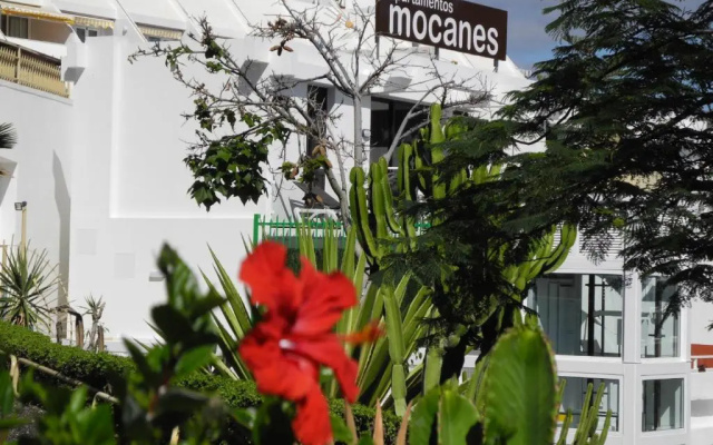 Apartamentos Los Mocanes