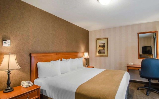 Quality Inn & Suites