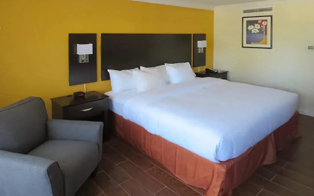 The Link Hotel on Sunrise