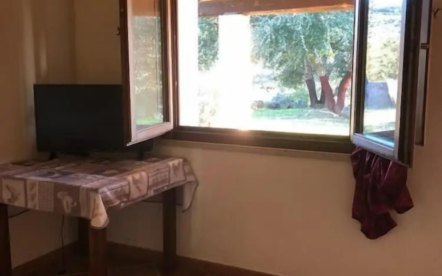 Sa Tanchitta