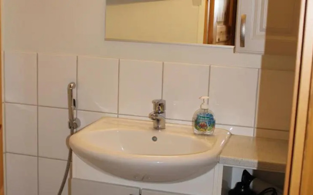 Alppi Nuppu Apartment