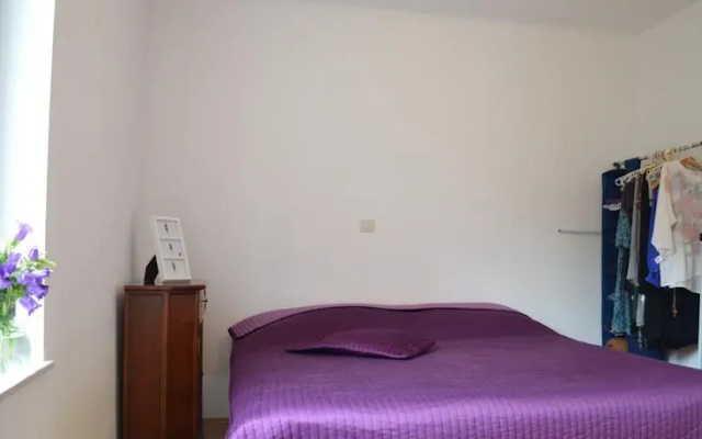 Apartment Colori